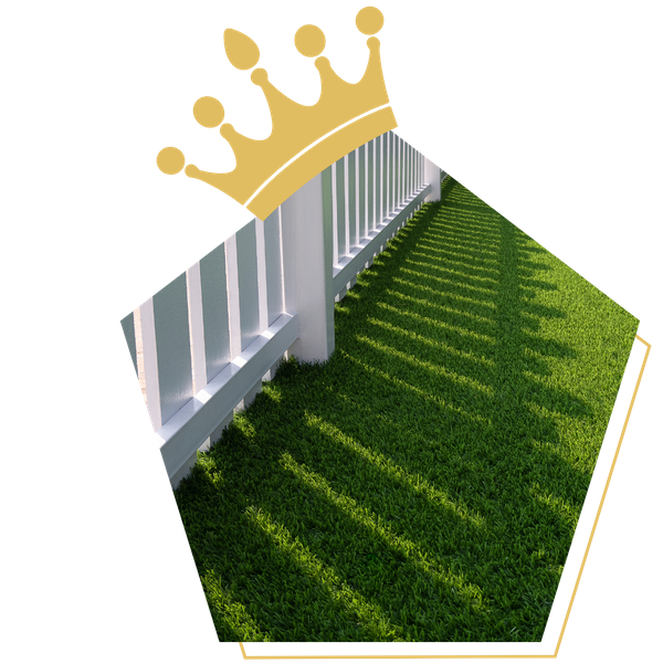 Artificial Turf 2.png
