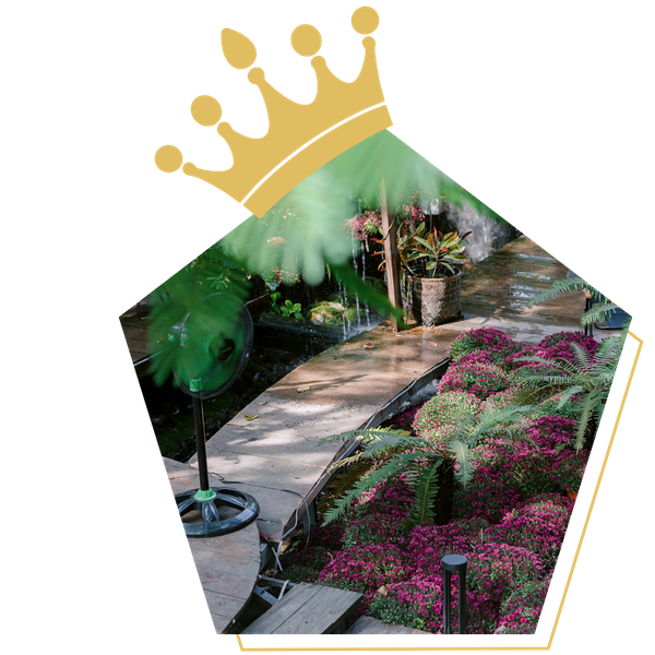 Hardscaping path in a garden