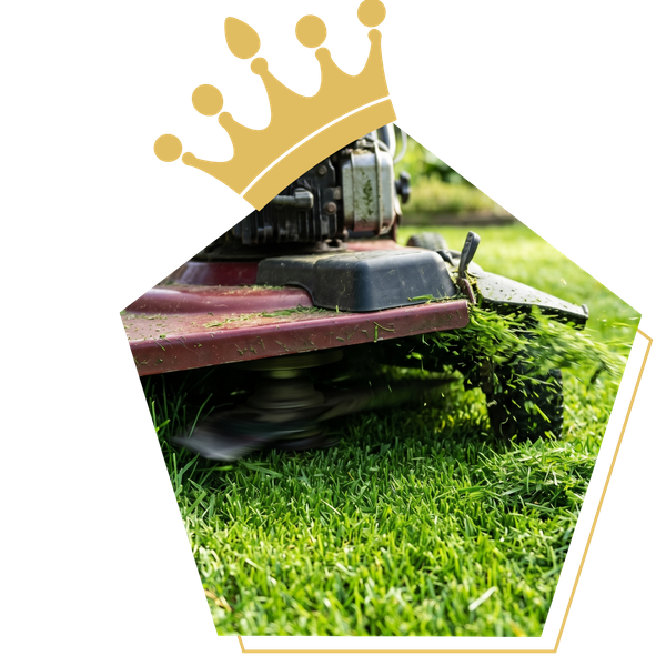 Lawn mower cutting grass