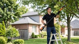 Tree Bush Trimming.jpg