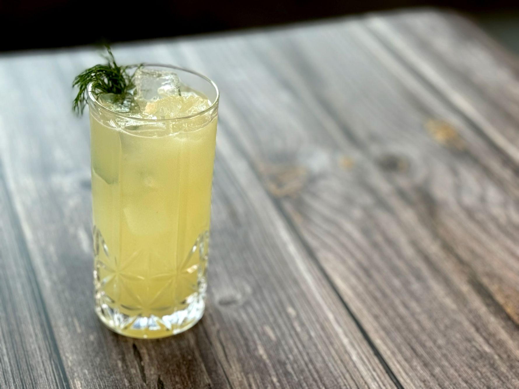 Cucumber Fennel Fizz - 1.jpg