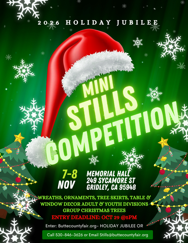 Green Christmas Party Flyer (1).png