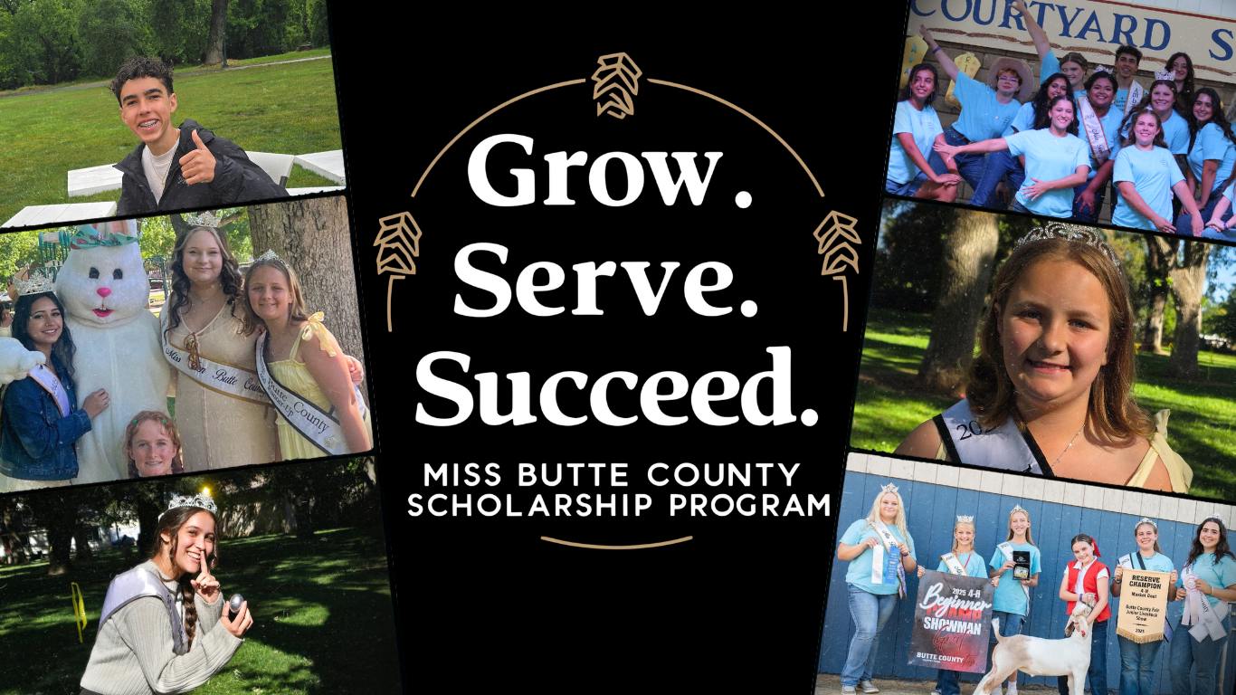 Untitled (Website).png