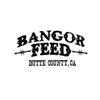 Bangor Feed 26.jpg