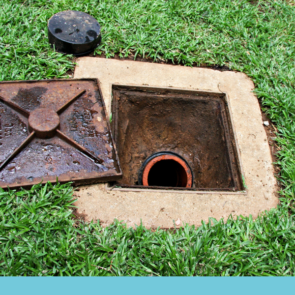 Sewer line