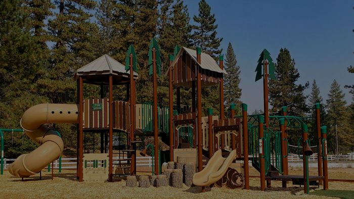 Hero Incorporating Nature into School Playground Design .jpg