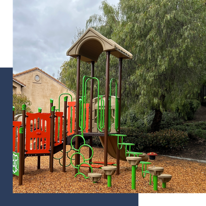 Custom commercial playground structure 