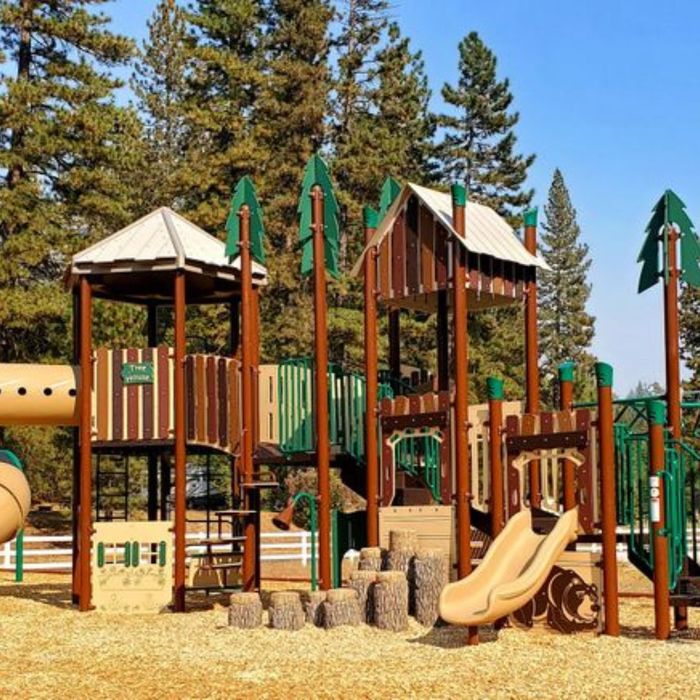 Incorporate Nature into Your Playground Design- Image 1.jpg