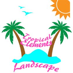 Tropical-elements-landscape