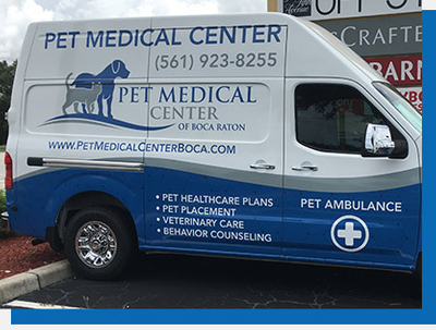image of the pet ambulance