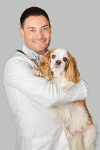 image of vet and a dog
