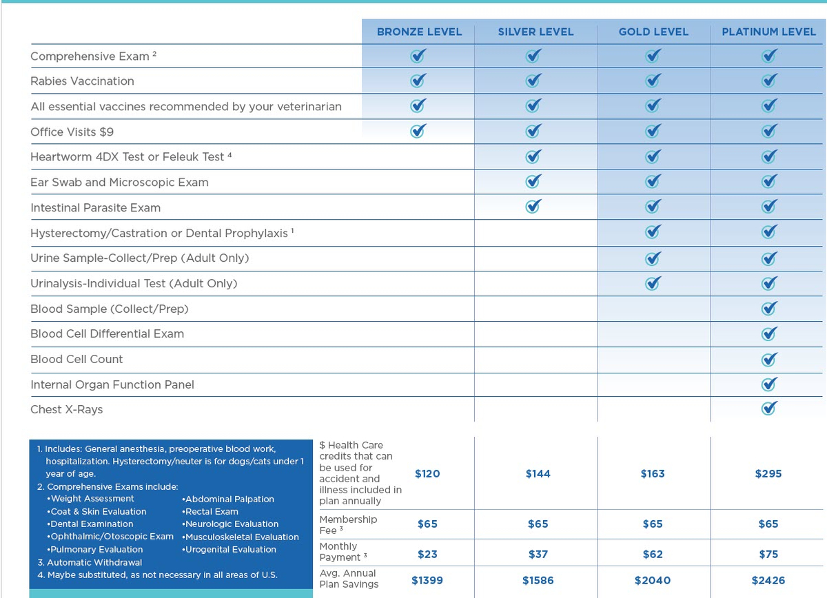 Plan grid 2025.jpg