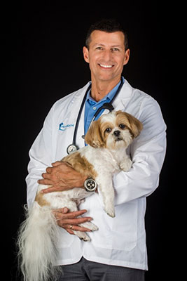 image of vet and a dog