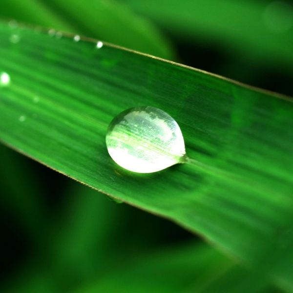 How Hiring a Waste Management Company Helps the Environment1.jpg