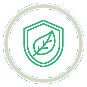 Icon 1 (3).png