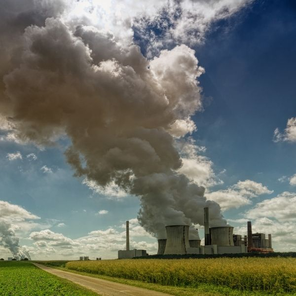 How Hiring a Waste Management Company Helps the Environment2.jpg