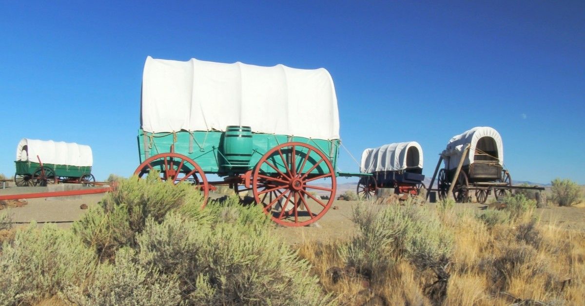 pioneering wagons in a field