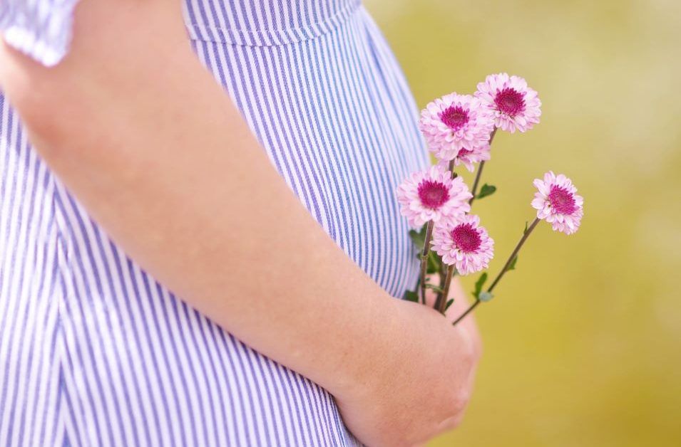 pregnant woman belly closeup holding pink flowers