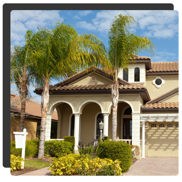 California home with palm trees