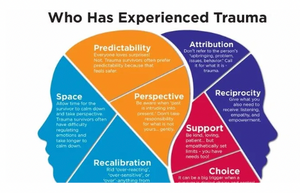 Trauma informed therapy 