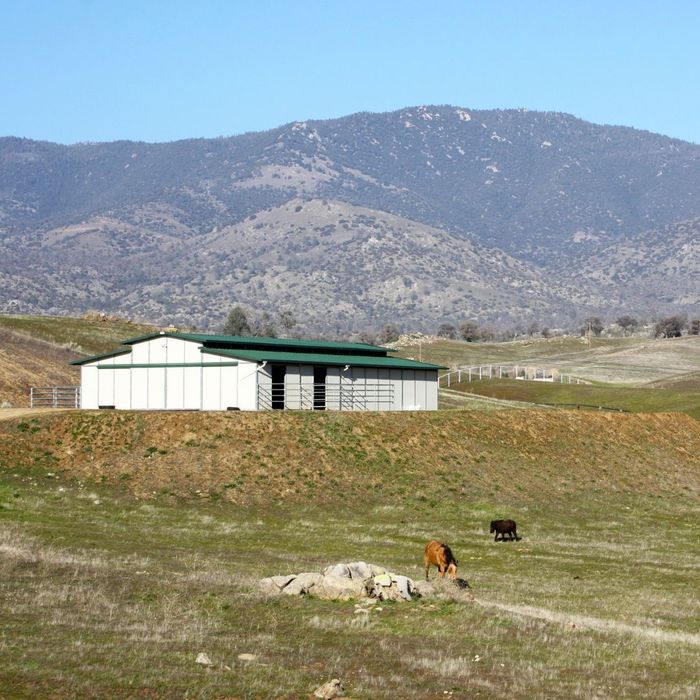 Design Considerations For Cold Storage Pole Barns - 1.jpg