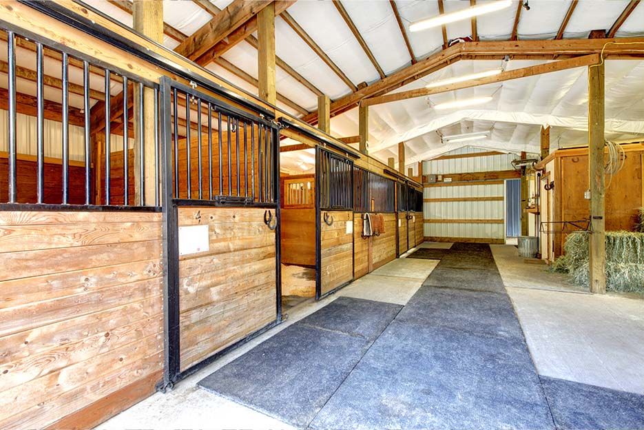 horse stable and stall barn