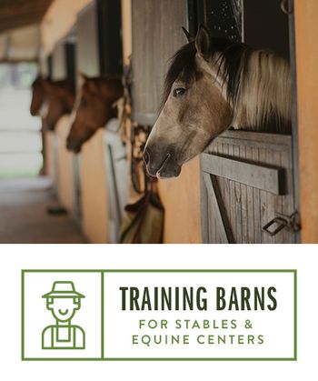 training barns