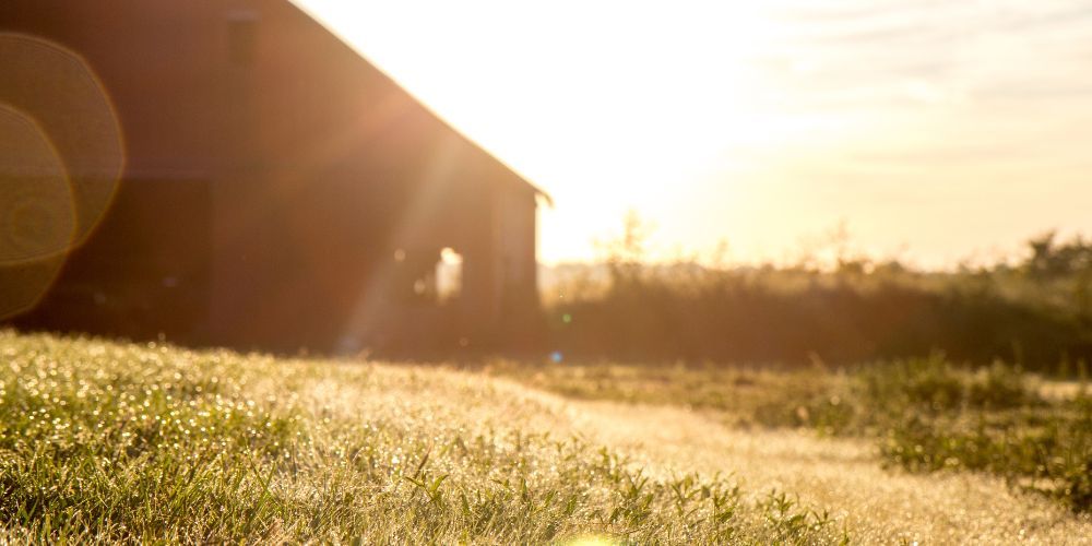 M37997 - Nov 2023 Blog - The Benefits of Investing in a Machine Shed for Your Agriculture Business.jpg