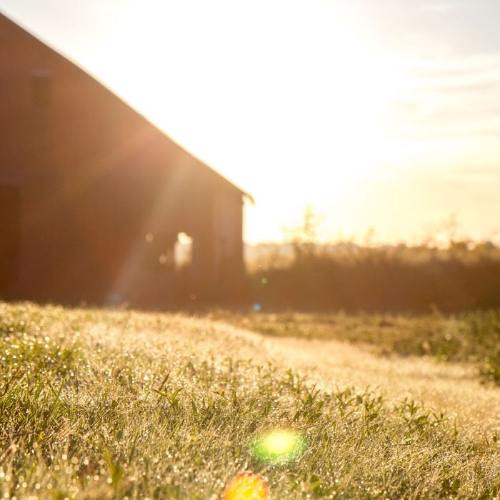 The Pros and Cons of Pole Barns-Image 3.jpg