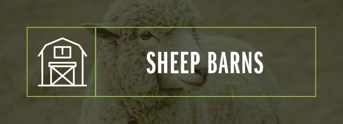 sheep barns