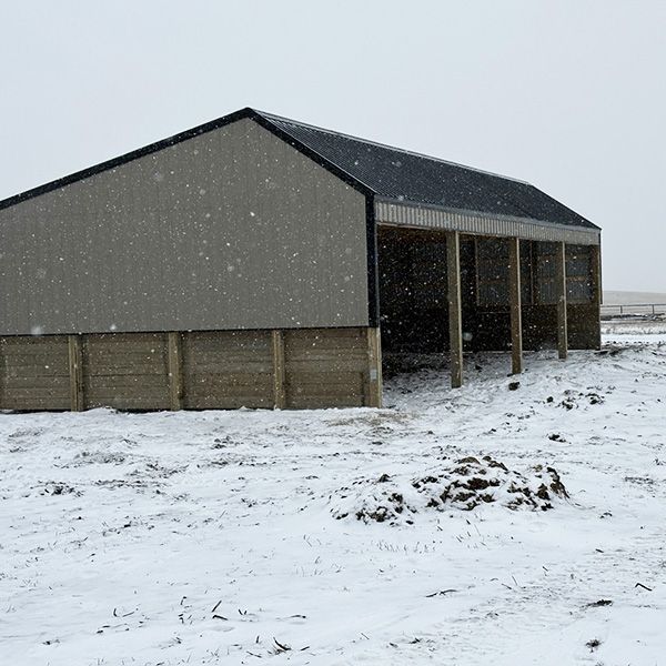 Building for the Elements BB Image 1.jpg