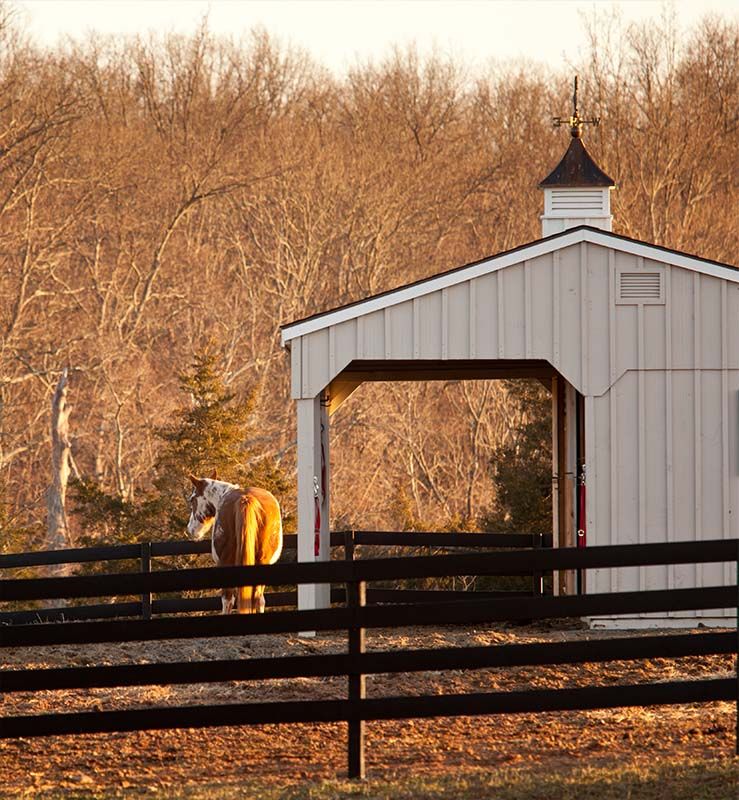 horse stable and stall barn
