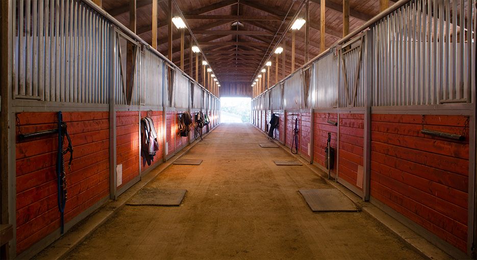 horse stable and stall barn