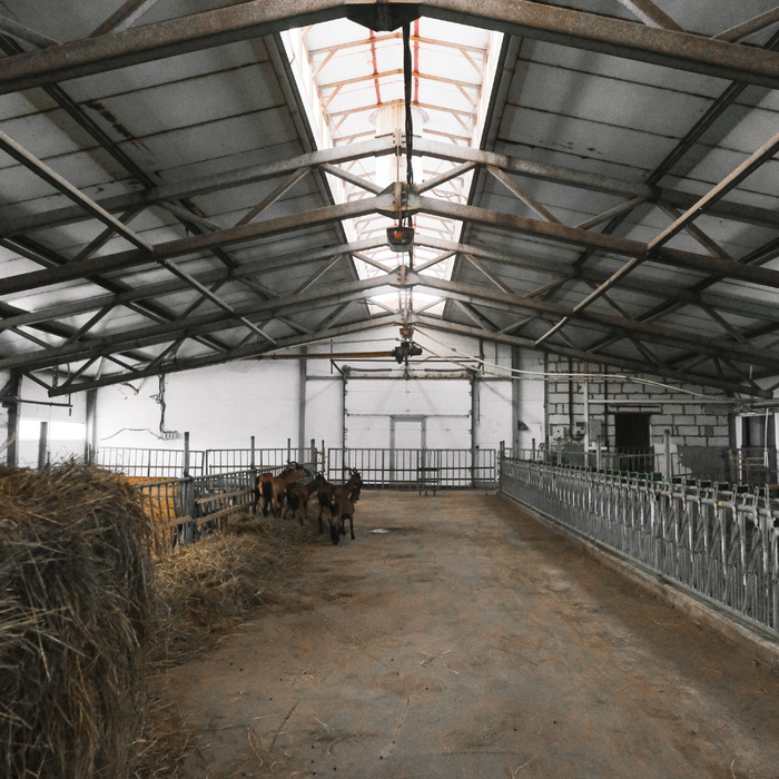 livestock barn