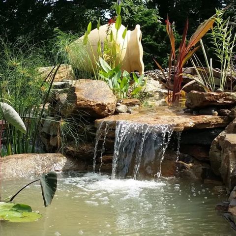 a pond with a water feature