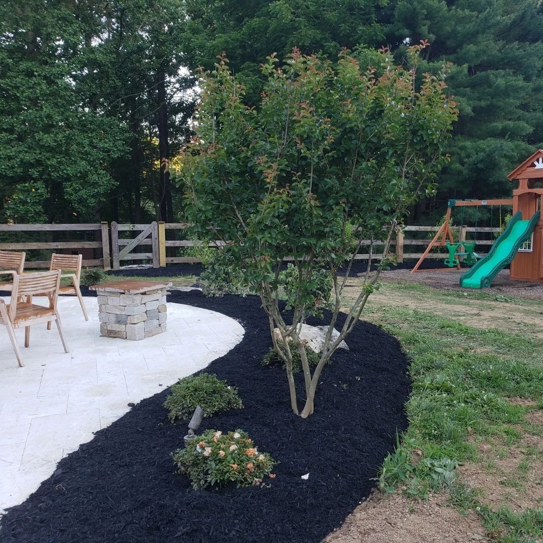 a backyard garden bed
