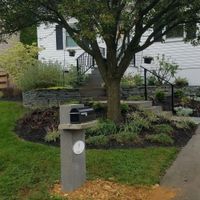 a garden bed around a tree