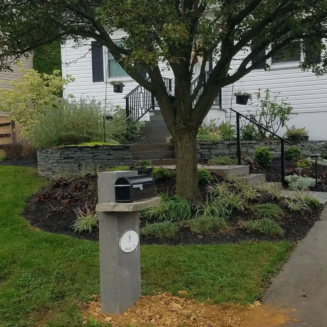 a garden bed around a tree