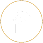 explosive movements icon explosive movements icon