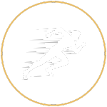 sports transitional movement icon sports transitional movement icon