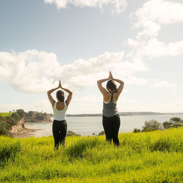 Two_women_doing_yoga_in_a_field_facing_toward_a_coastline[1].jpg
