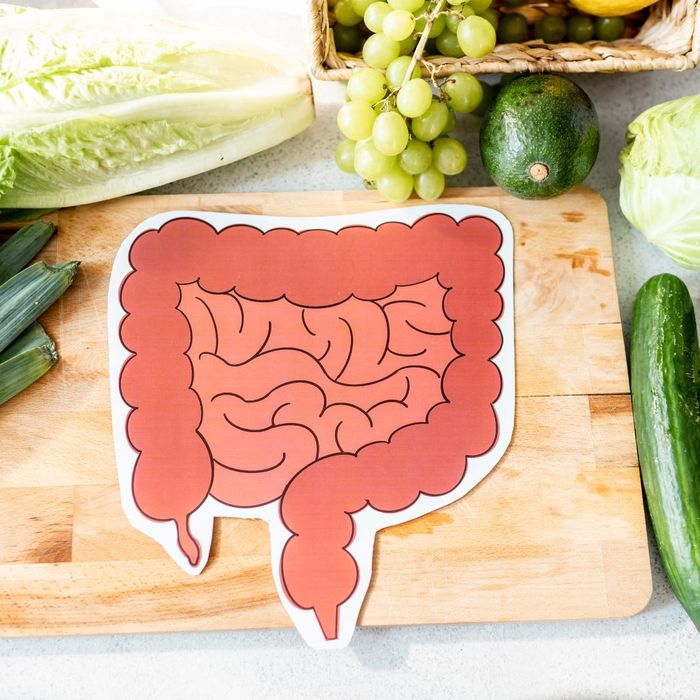 4_-_illustrated_cutout_of_digestive_system_sitting_on_cutting_board_surrounded_by_vegetables[1].jpg