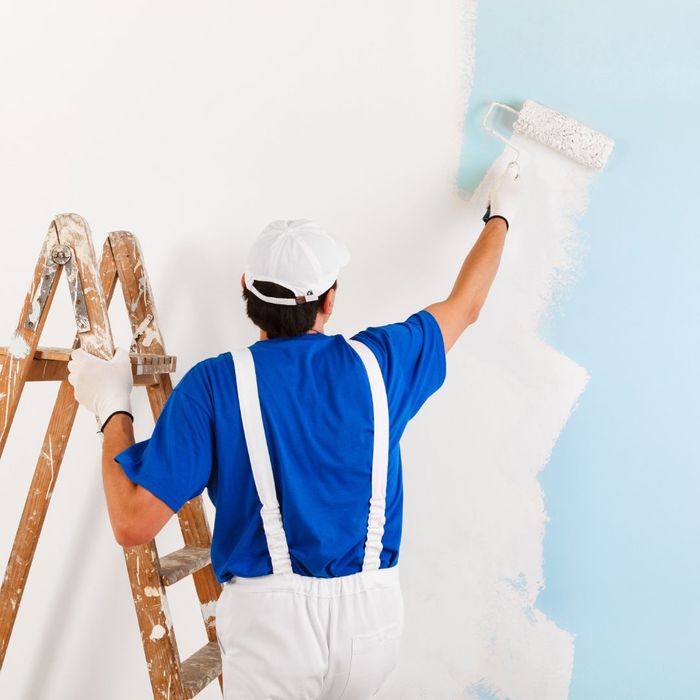 Learn More About all of Our Painting Services