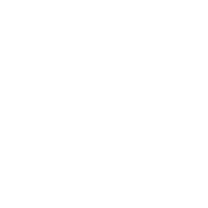 AR 500 Custom Targets