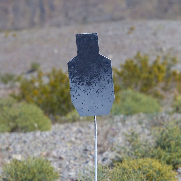 durable steel shooting target