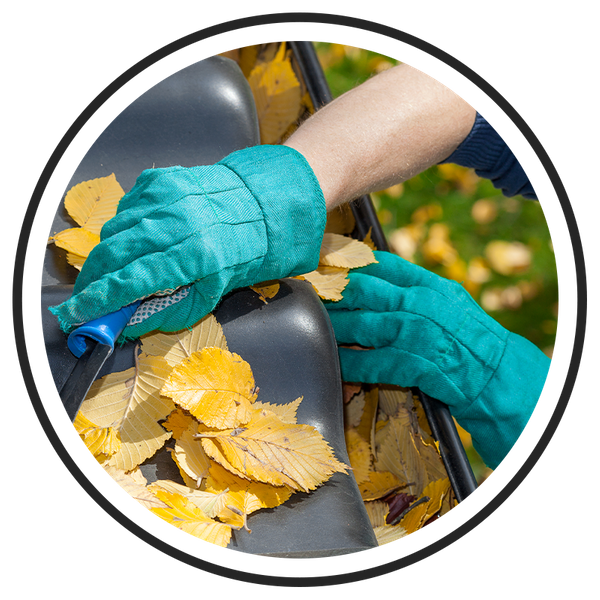  Image of a contractor clearing leaves and debris from gutters.