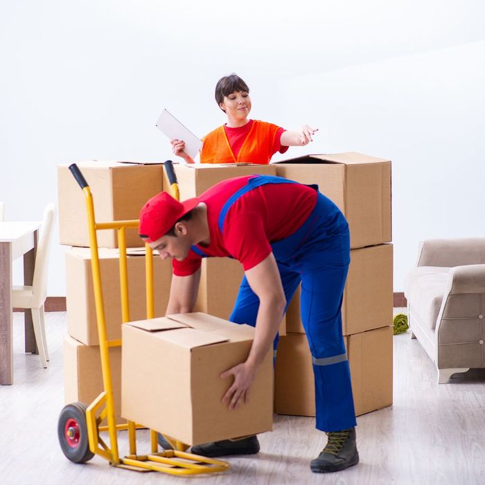 packing company moving boxes