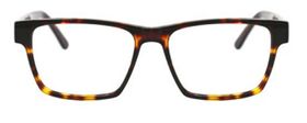 Classics Light Tortoise 04.jpg