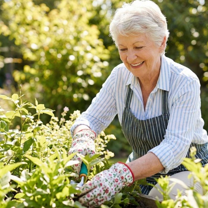 Vision Changes In Older2.jpg