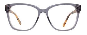 Classics Gray Tort 03.jpg